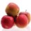 jabuka sadnice plod fuji 1